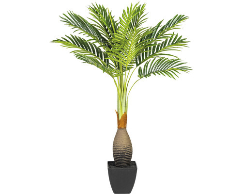 Konstväxt Howea Kentia palm ca 100cm grön