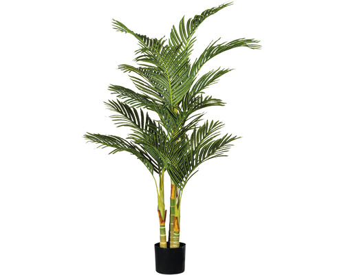 Konstväxt Dypsis Lutescens ca 150cm