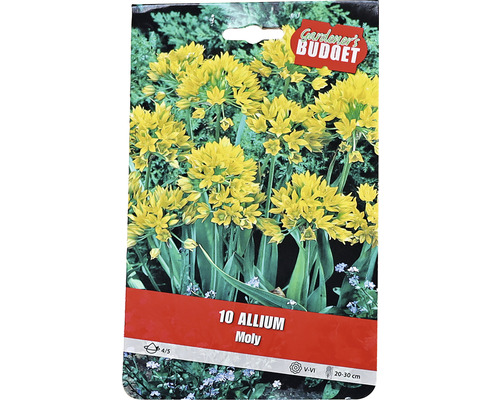 Förpackning med blomsterlökar Allium Moly