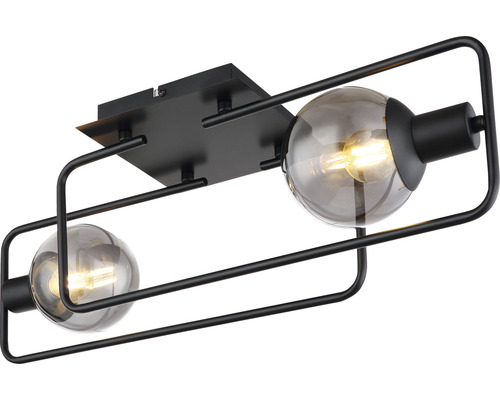 Svart taklampa med två lampor och sfäriska lampskärmar