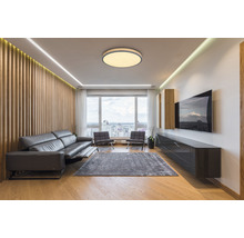 LED-plafond GLOBO Doro 40W grafit
