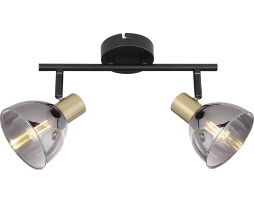 Taklampa med två spotlights och glasskärmar