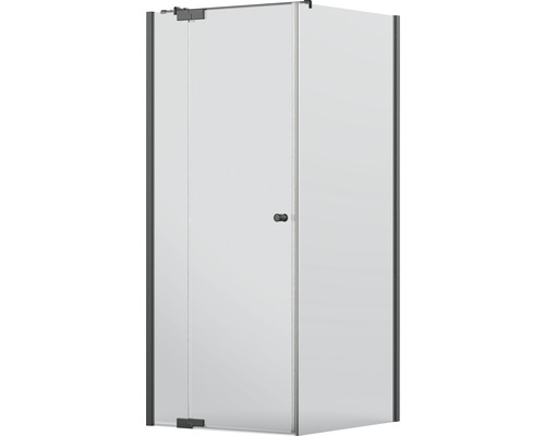 Hörndusch med glasdörr och handtag