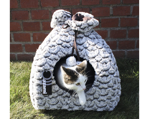 Katt i en grå kattsäng med tunnel