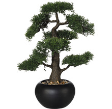 Konstväxt Bonsai Ceder ca 48cm