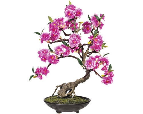 Konstväxt Bonsai cerasum ca 50cm rosa