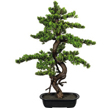 Konstgjord bonsai i kruka