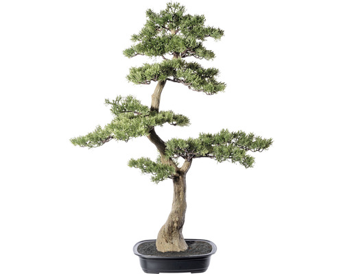 Konstväxt Bonsai Ceder ca 100 x 60cm