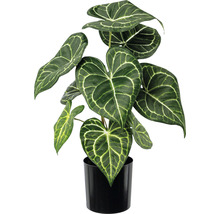 Konstväxt Anthurium ca 37cm grönvit