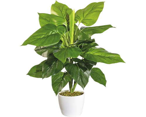 Konstväxt Philodendron ca 50cm grön