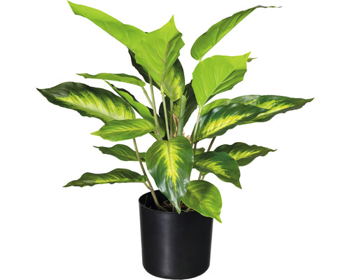 Konstväxt Dieffenbachia ca 45cm grön