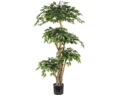 Konstväxt Ficus Benjamina ca 170cm grön