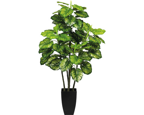 Konstväxt Maranta ca 105cm gröngul