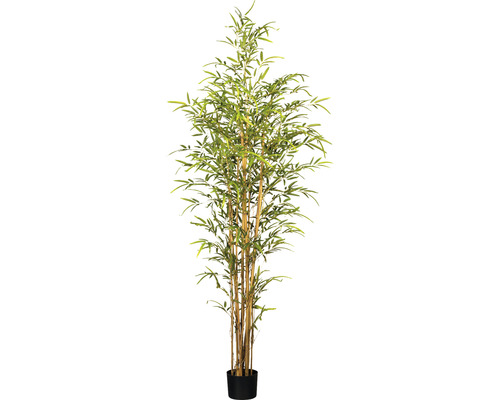 Konstväxt Bambu ca 180cm grön