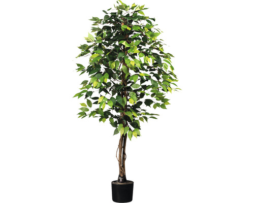 Konstväxt Ficus Benjamina ca 150cm grön