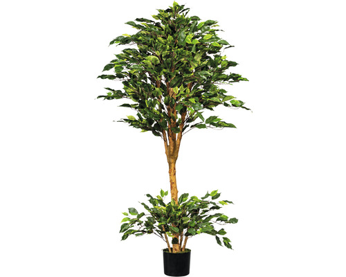 Konstväxt Ficus Benjamina ca 150cm