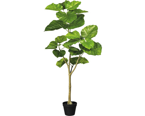 Konstväxt Ficus umbellata ca 125cm grön
