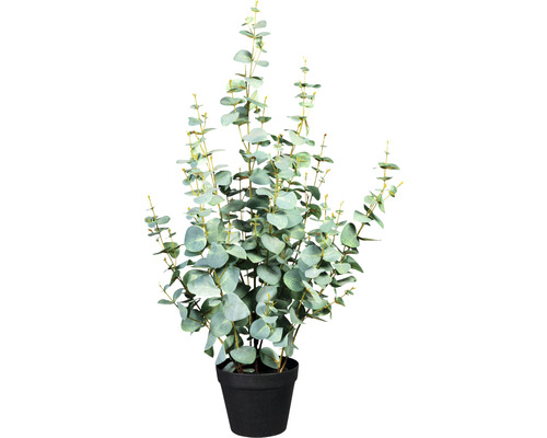 Konstväxt Eucalyptus Silverdollar ca 80cm