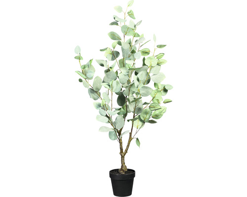 Konstväxt Eucalyptus Populus ca 90cm gröngrå