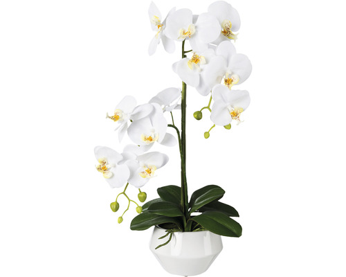 Konstväxt Orkidé Phalaenopsis ca 52cm vit