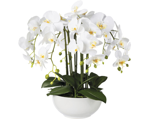 Konstväxt Orkidé Phalaenopsis ca 54cm vit