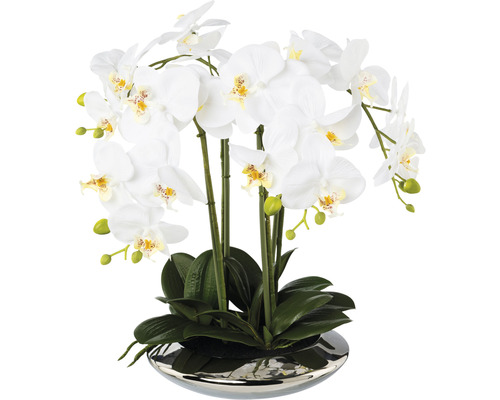 Konstväxt Orkidé Phalaenopsis ca 41cm vit