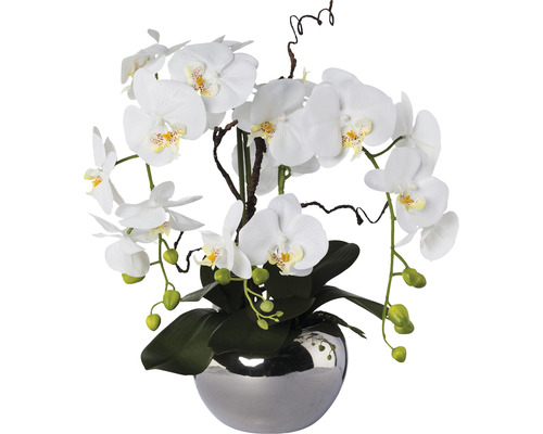 Konstväxt Orkidé Phalaenopsis Arrangement ca 55cm vit
