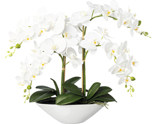 Konstväxt Orkidé Phalaenopsis ca 53cm vit