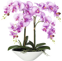 Konstväxt Orkidé Phalaenopsis ca 53cm rosa