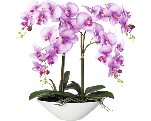 Konstväxt Orkidé Phalaenopsis ca 53cm rosa