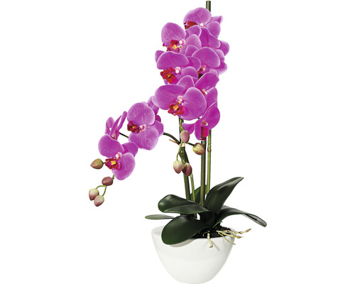 Konstväxt Orkidé Phalaenopsis ca 50cm lila