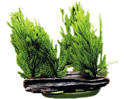 Akvarieväxt plast Java Mossa Akvarieväxt plast Java Mossa