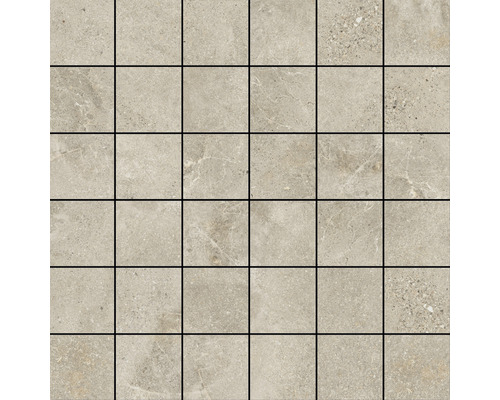 Mosaik Dolomiti Nut beige brun 30x30 cm 
31D2B34639083