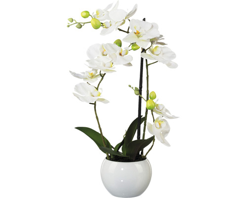 Konstväxt Orkidé Phalaenopsis ca 42cm vit