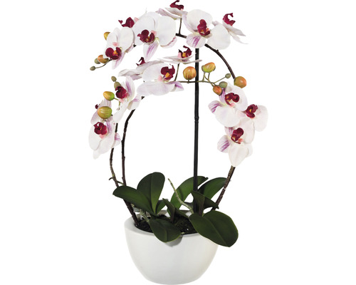 Konstväxt Orkidé Phalaenopsis ca 52cm rosa