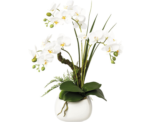 Konstväxt Orkidé Phalaenopsis ca 46cm vit