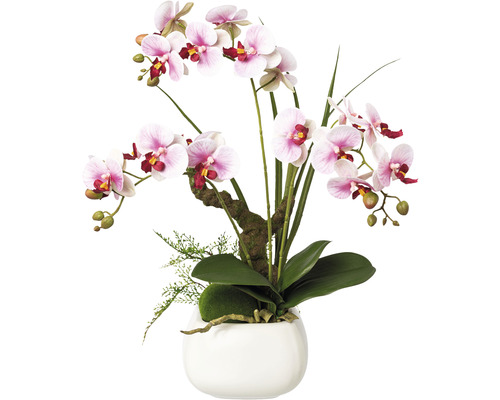 Konstväxt Orkidé Phalaenopsis ca 46cm lila