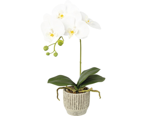 Konstväxt Orkidé Phalaenopsis ca 36cm vit