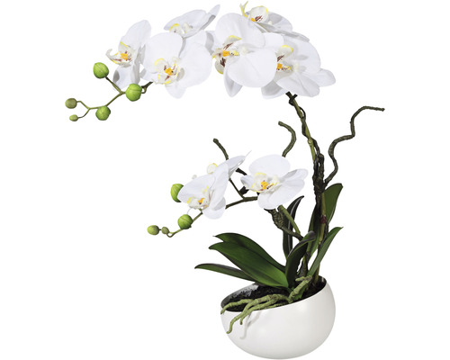 Konstväxt Orkidé Phalaenopsis ca 42cm vit