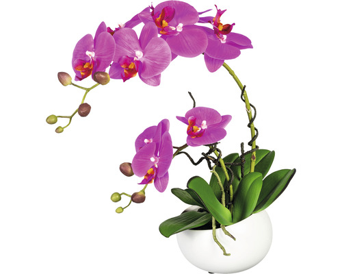 Konstväxt Orkidé Phalaenopsis ca 42cm lila