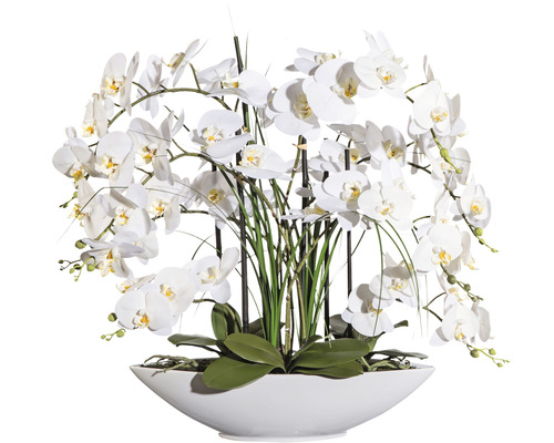Konstväxt Orkidé Phalaenopsis ca 70cm vit