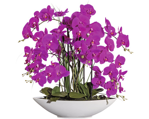 Konstväxt Orkidé Phalaenopsis ca 70cm lila