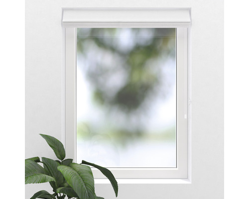 Fönster med rullgardin för skuggning