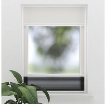 Fönster med plisségardin för ljuskontroll