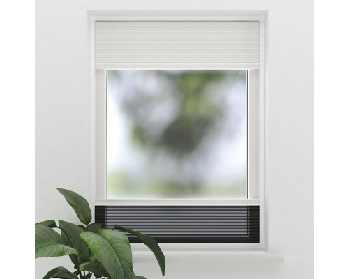 Fönster med plisségardin för ljuskontroll