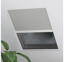 Plisségardin på fönstret med växt