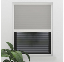 Fönster med plisségardiner för ljusreglering och avskildhet