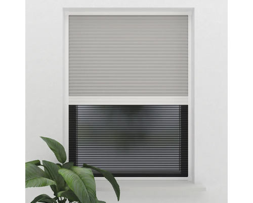 Fönster med plisségardiner för ljusreglering och avskildhet