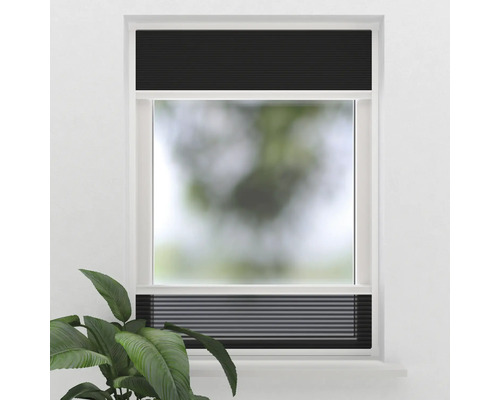 Fönster med svart plisségardin