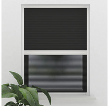 Fönster med svart plisségardin för ljusreglering